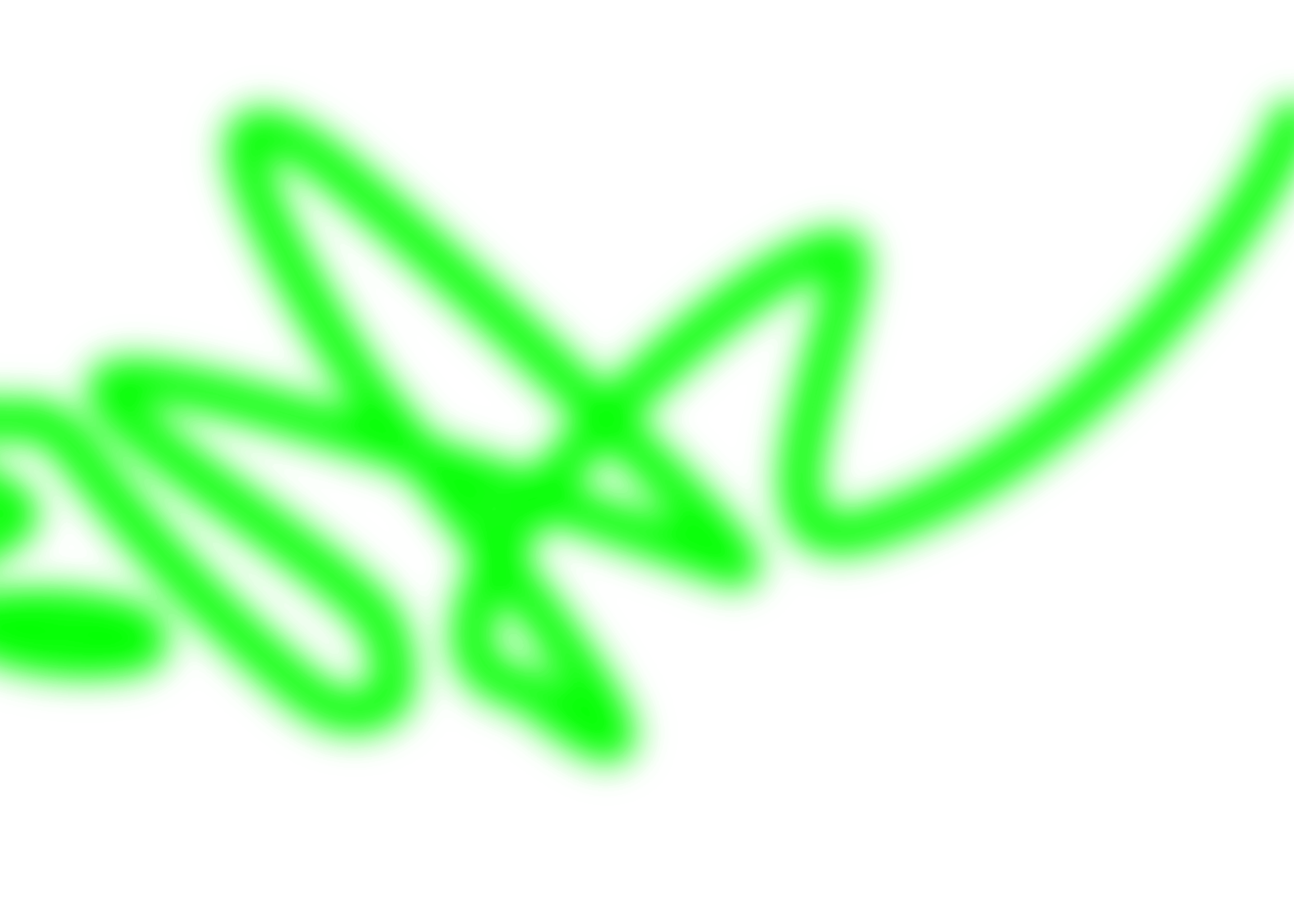 kwtag24_graphic-green